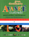 DICCIONARIO GRAN DICCIONARIO AVANEE1