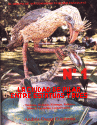 LACIUDADEPILAR LACIUDADEPILAR