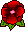 YVOTYMI_FLORCITA_PANSY YVOTYMI_FLORCITA_PANSY