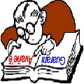 diccionarioguaranicastellanoavaneeguaranidictionary120_120