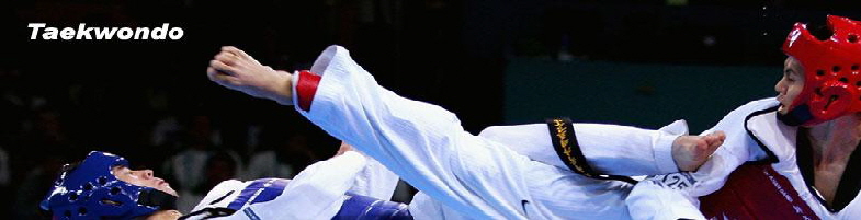 taekwondo1