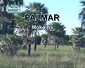KURUSUVEVE121_PALMAR_TIRO_AMETRALLADORA_121X96